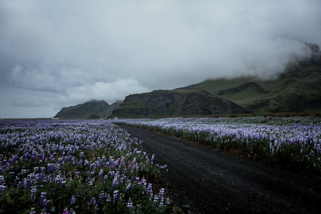 Islandia - co warto zobaczyć, ciekawe miejsca na Islandii