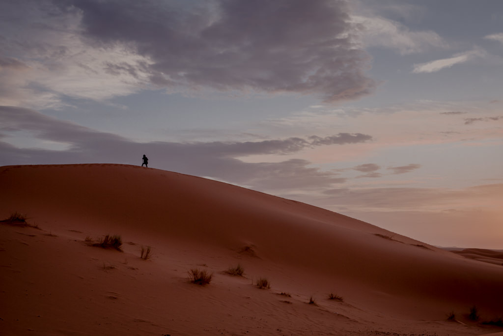 Pustynia Sahara