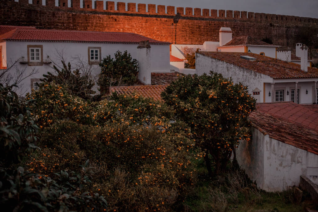 Obidos - ogrody w Portugalii