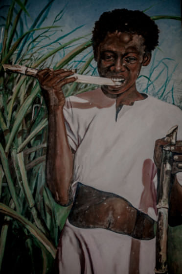 Niewolnicy w Trinidadzie na plantacjach trzciny