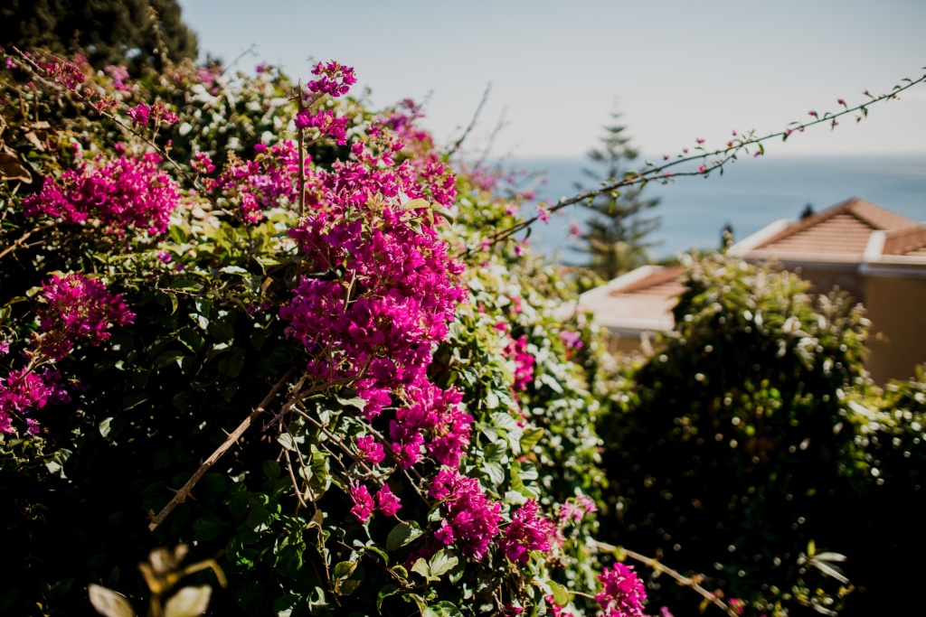 Co zobaczyć na Sycylii? Taormina i kwitnące ogrody